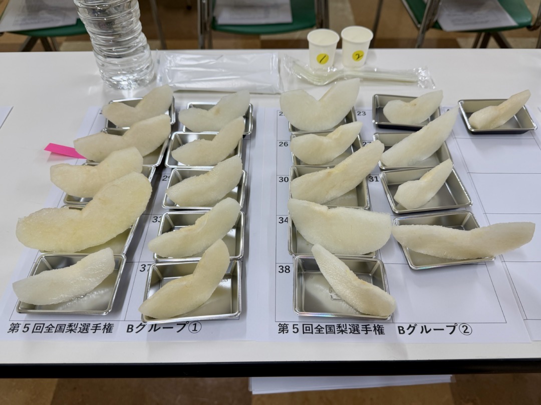 第5回 全国梨選手権 ブラインド審査